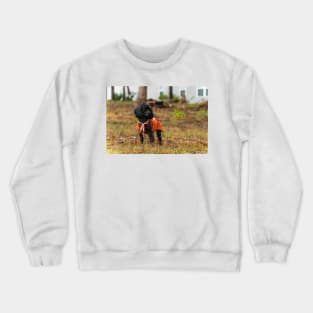 the Poodles of Suburbia Crewneck Sweatshirt